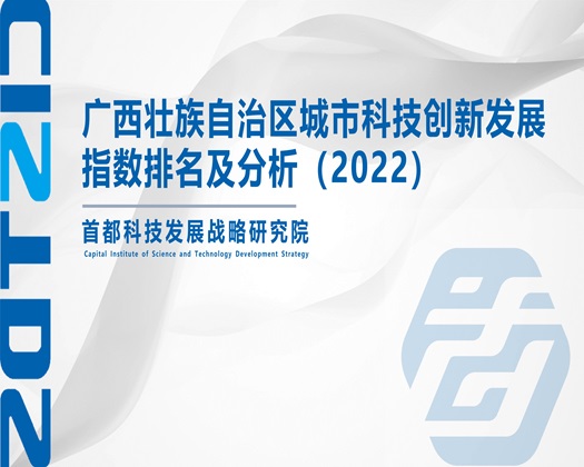 鸡巴插鸡巴的视频【成果发布】广西壮族自治区城市科技创新发展指数排名及分析（2022）